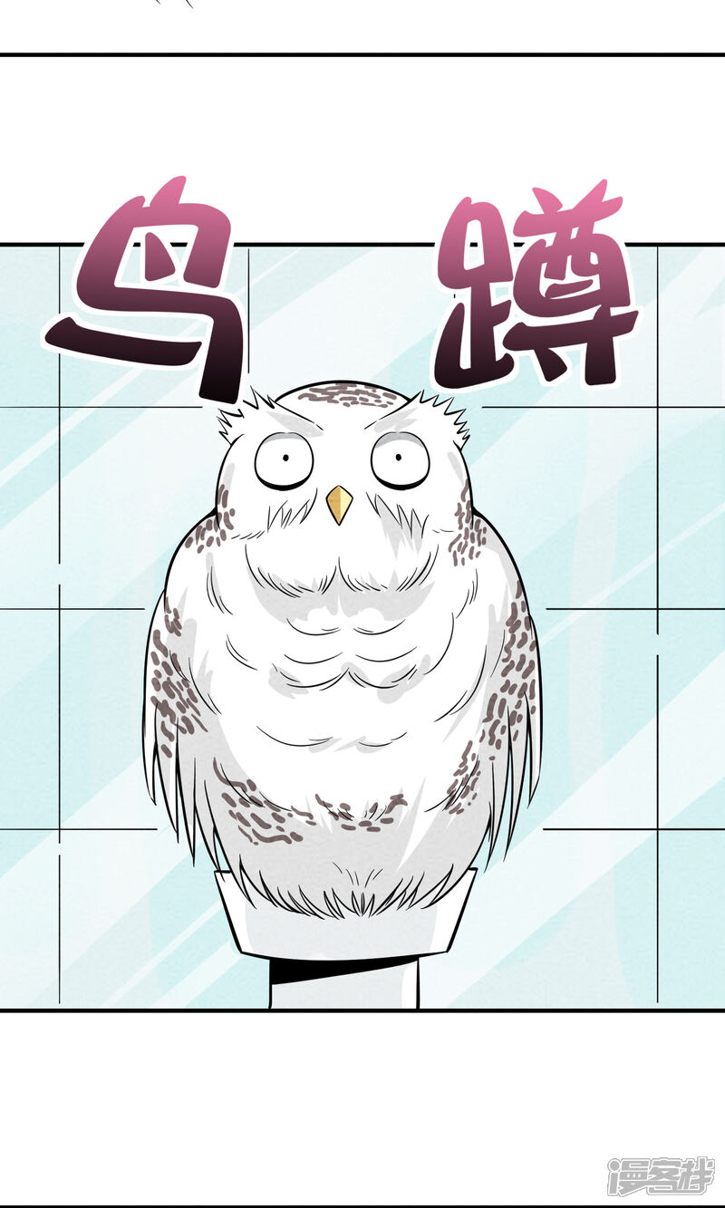 【妖怪要革命】漫画-（第28话 不会便秘的千年）章节漫画下拉式图片-第12张图片