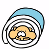 夏道尔