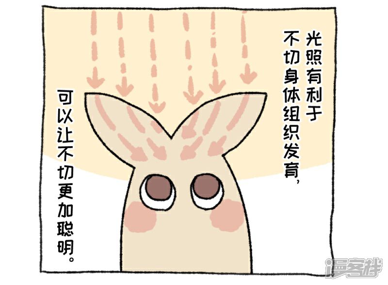 【不切传说】漫画-（第36话 关于不切）章节漫画下拉式图片-8.jpg