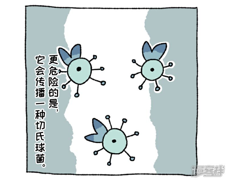【不切传说】漫画-（第36话 关于不切）章节漫画下拉式图片-14.jpg
