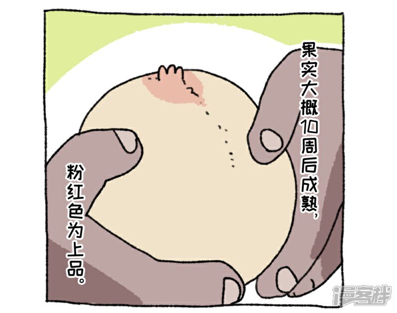 【不切传说】漫画-（第36话 关于不切）章节漫画下拉式图片-19.jpg