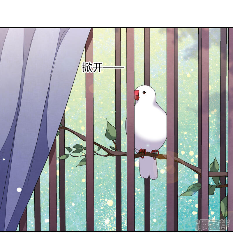 第35话 笼中鸟1