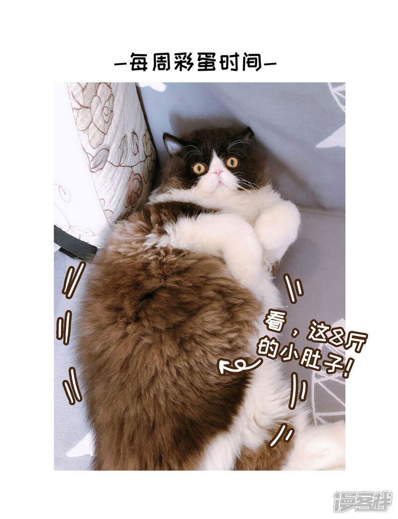 【玄羽恋歌】漫画-（第82话 异界访客1）章节漫画下拉式图片-第35张图片