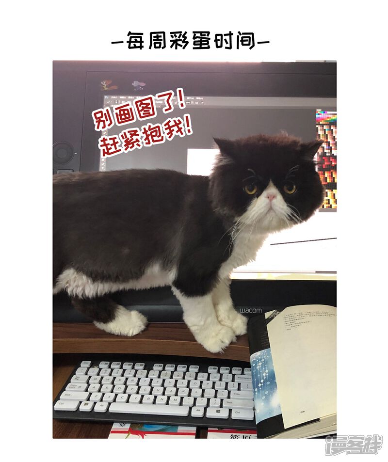 【玄羽恋歌】漫画-（第90话 决断1）章节漫画下拉式图片-第28张图片