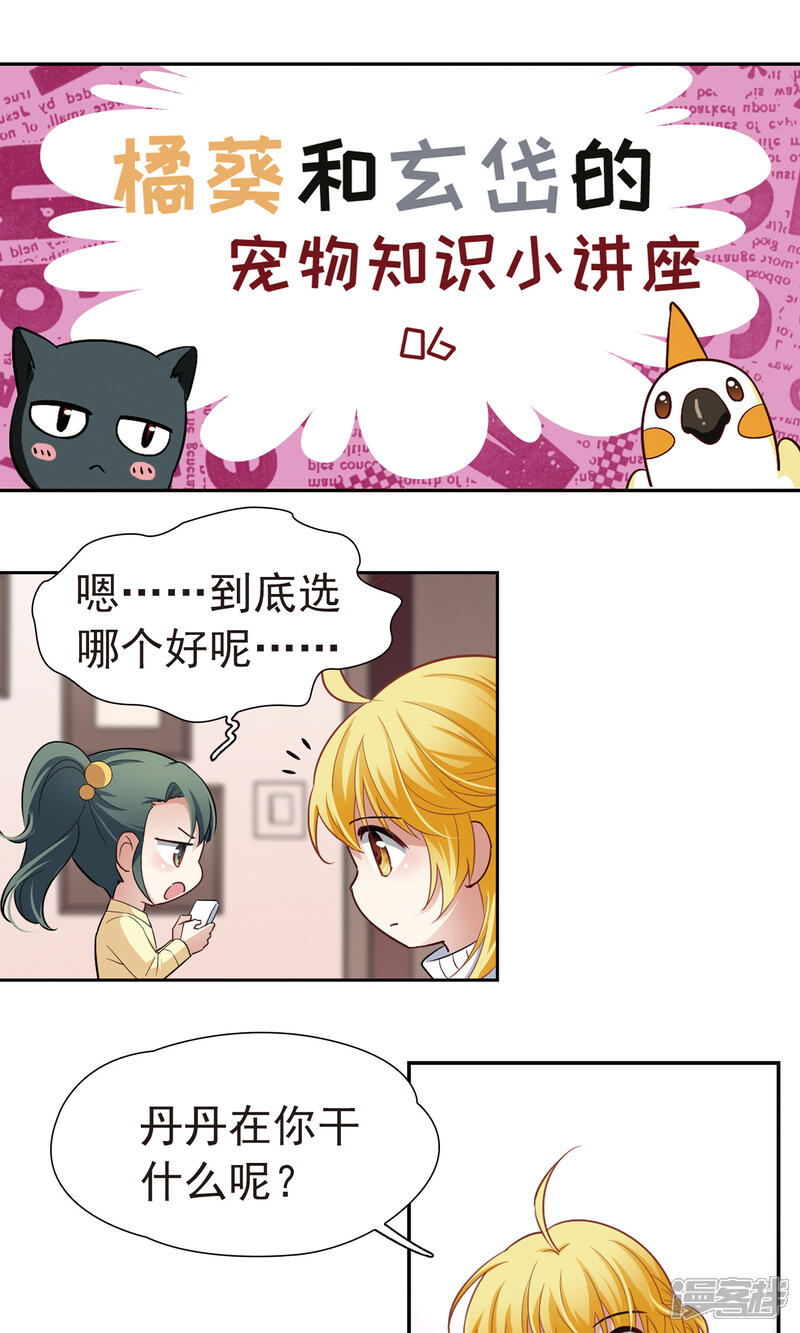 【玄羽恋歌】漫画-（番外1 小百科）章节漫画下拉式图片-第1张图片