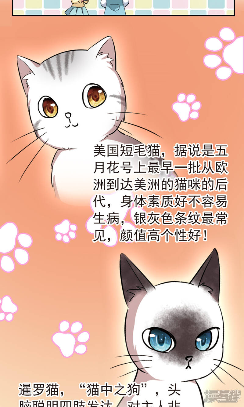 【玄羽恋歌】漫画-（番外1 小百科）章节漫画下拉式图片-第3张图片