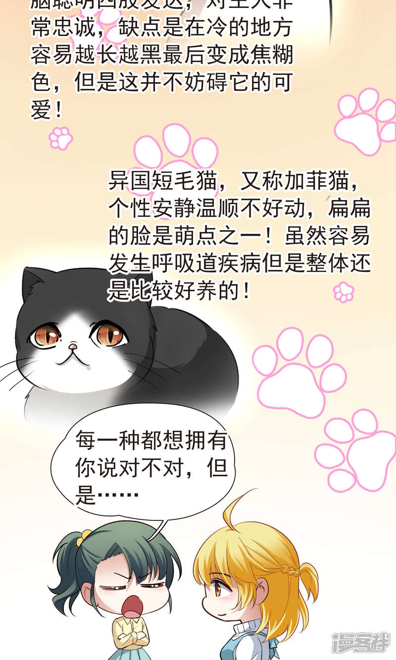 【玄羽恋歌】漫画-（番外1 小百科）章节漫画下拉式图片-第4张图片