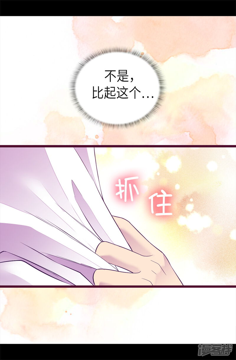 第495话你也是小偷吗-据说我是王的女儿？-Kim Rek-na|Bi Chu（第19张）