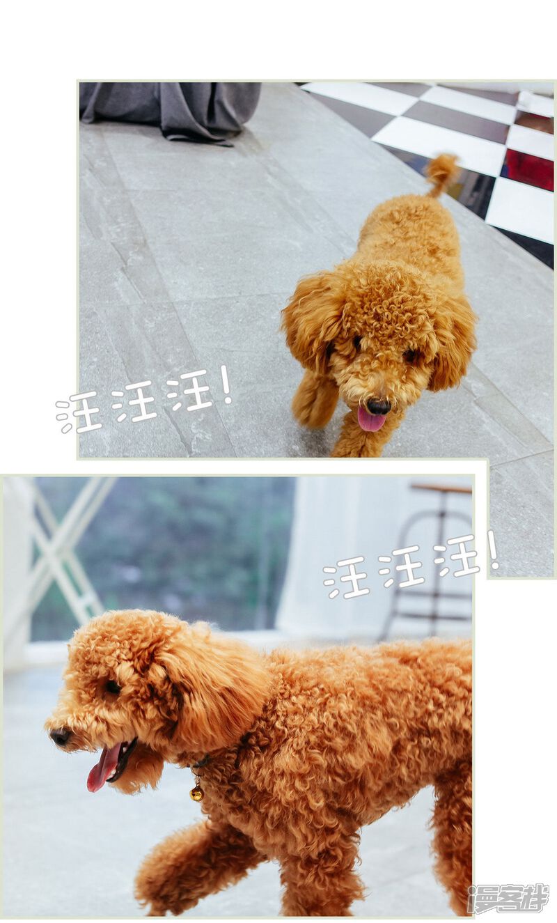 第28话-乖嫩甜妻-剧能玩（第16张）