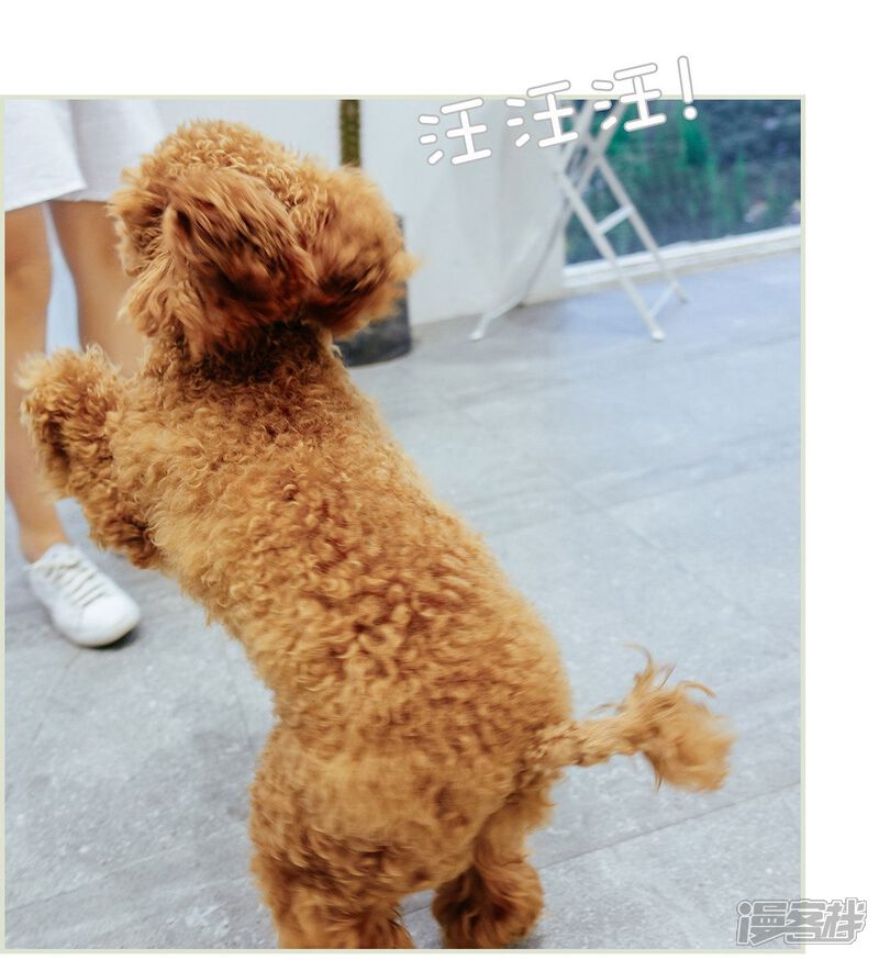 第28话-乖嫩甜妻-剧能玩（第18张）