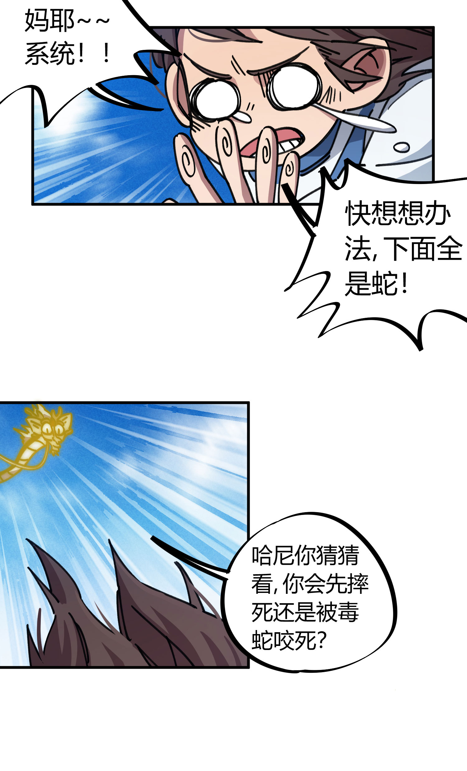 5.jpg