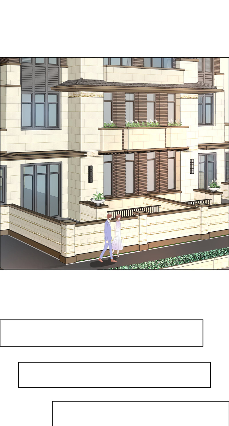 霸道总裁的独宠爱人