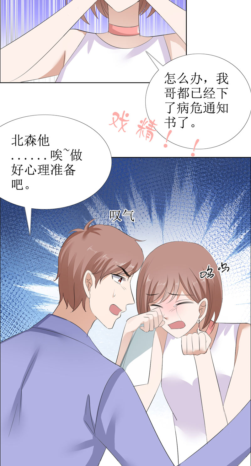 霸道总裁的独宠爱人