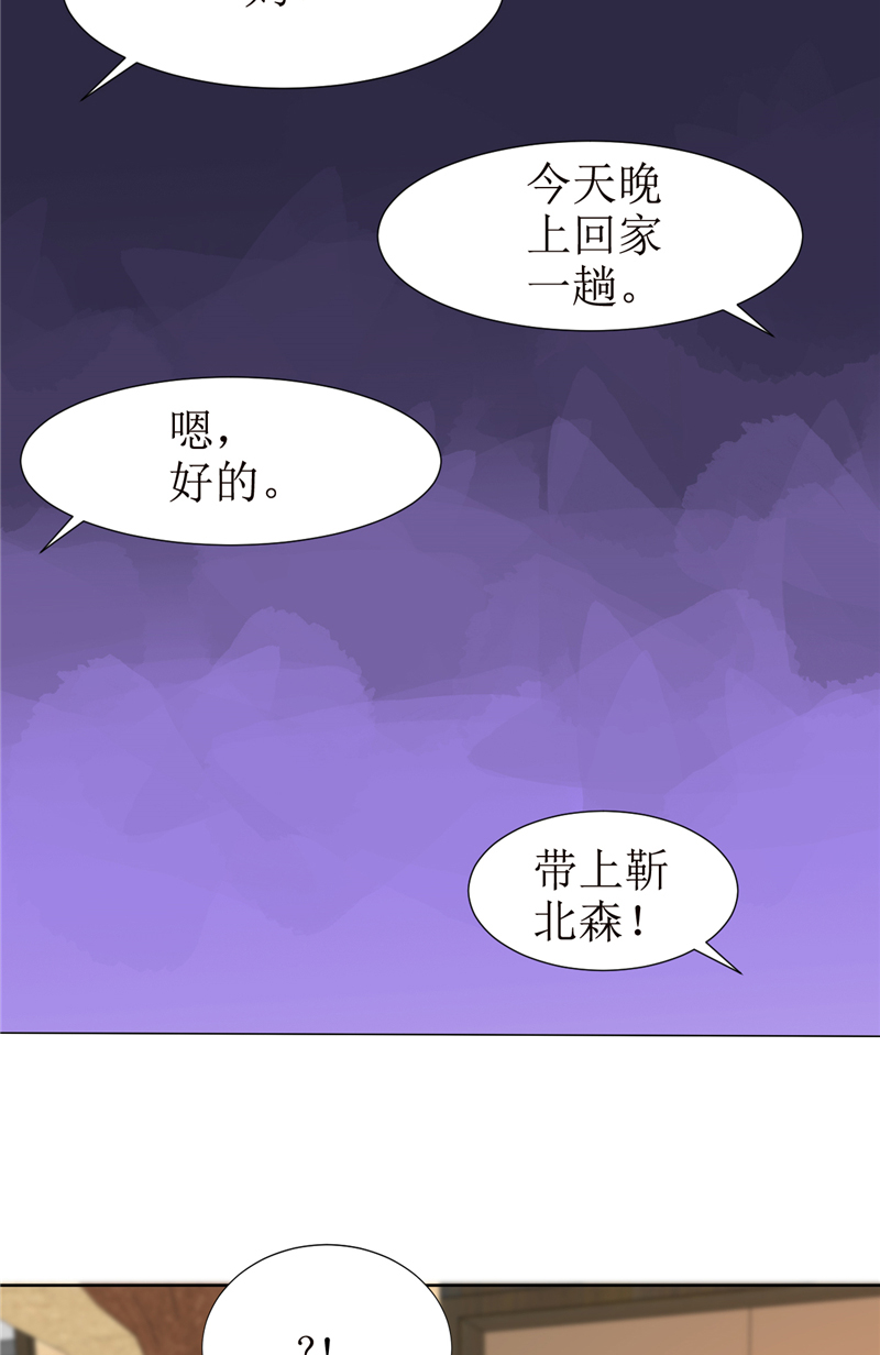 霸道总裁的独宠爱人