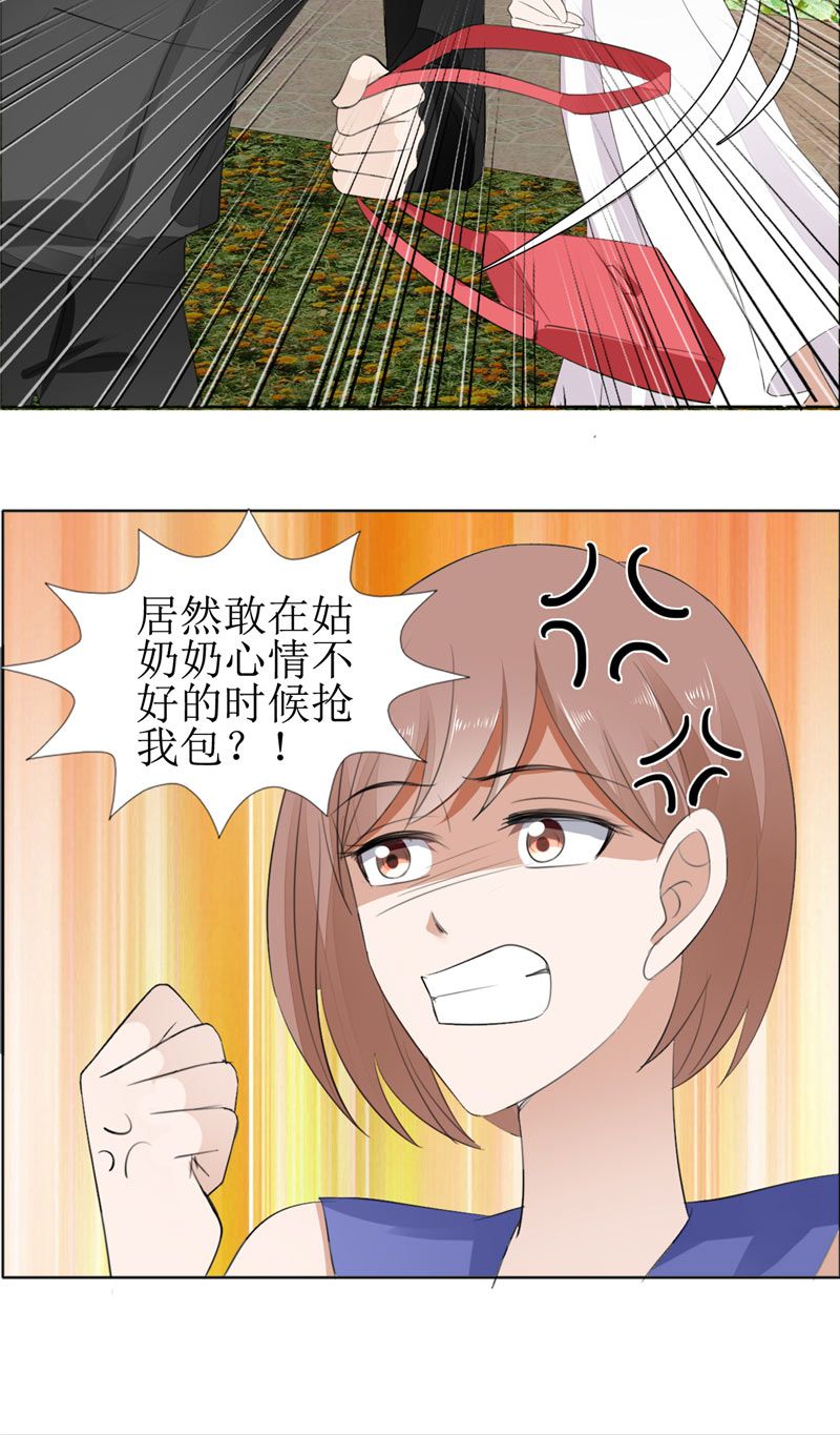 霸道总裁的独宠爱人