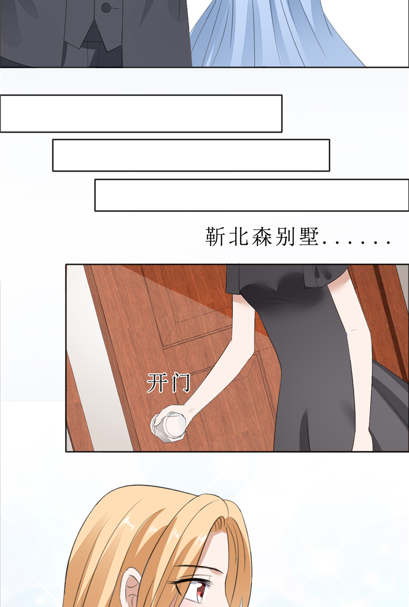 霸道总裁的独宠爱人