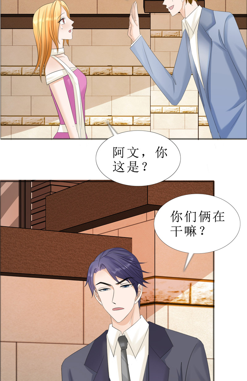 霸道总裁的独宠爱人