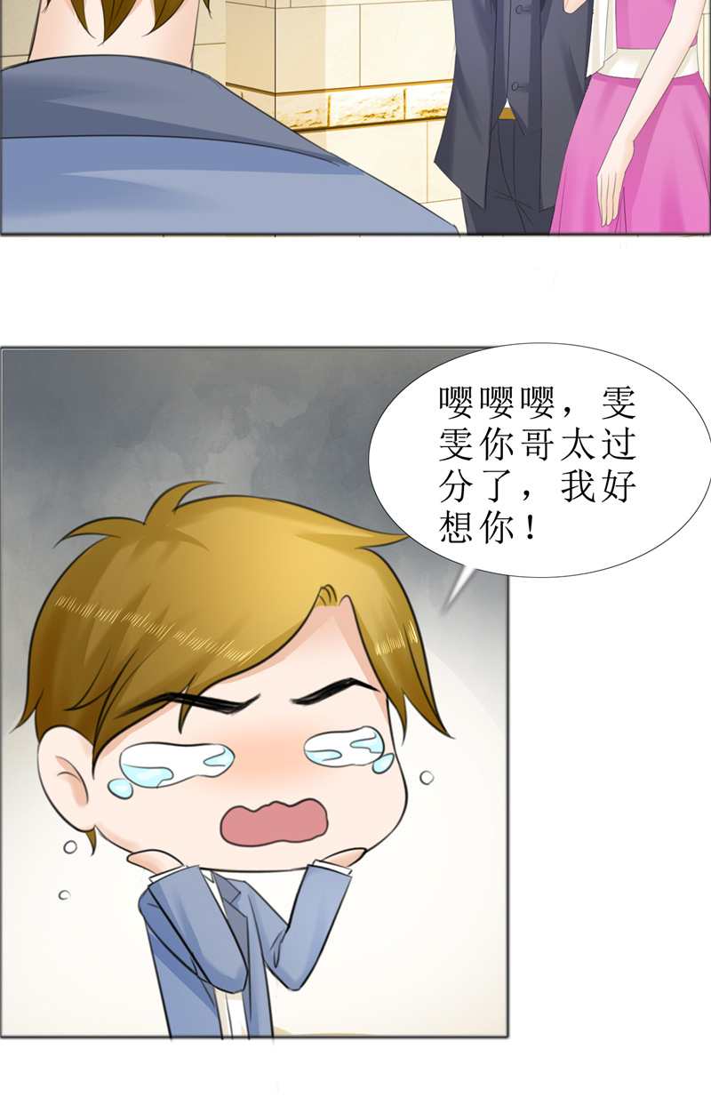 霸道总裁的独宠爱人