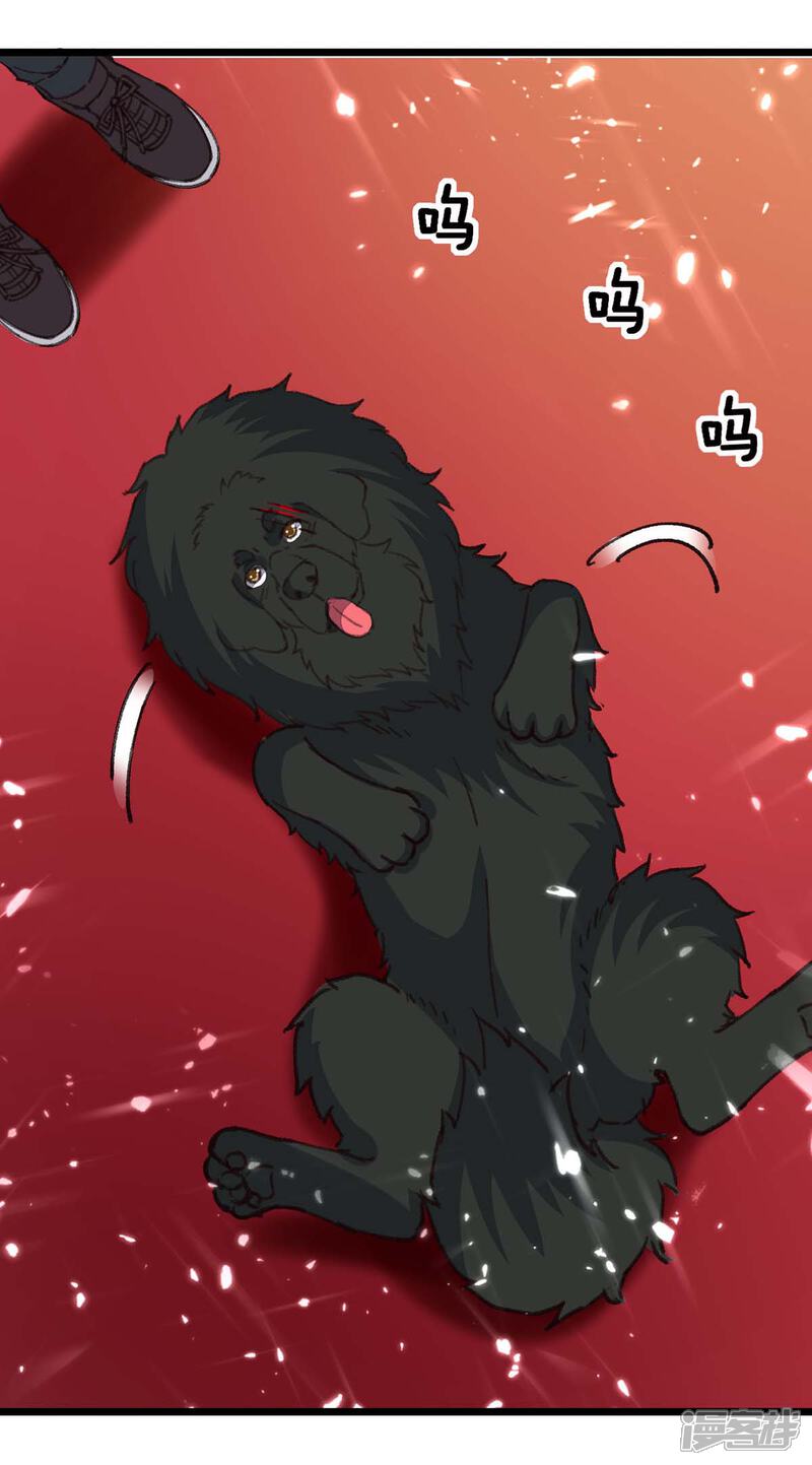 【重生弃少归来】漫画-（第148话 驯服）章节漫画下拉式图片-第10张图片