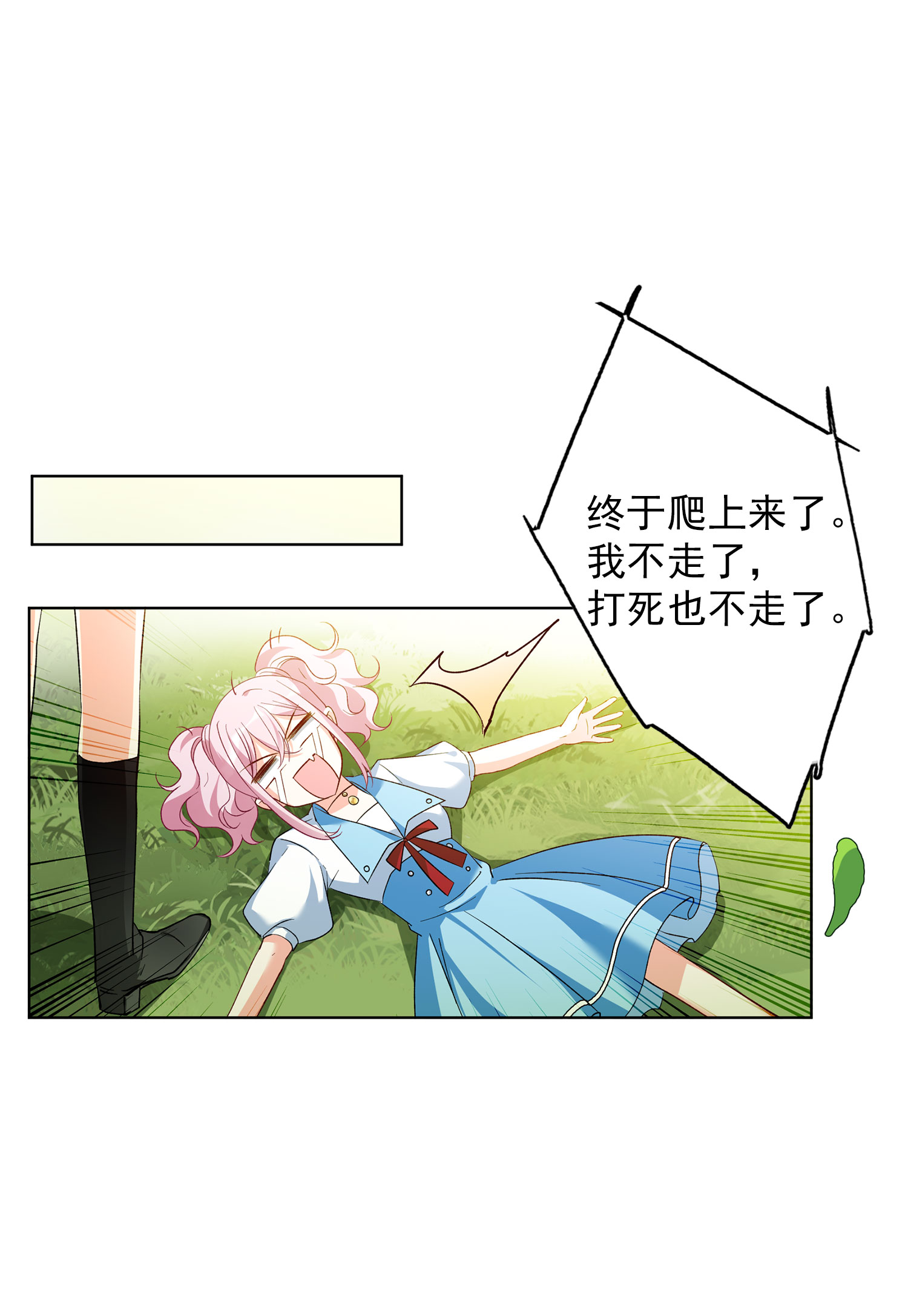15.jpg