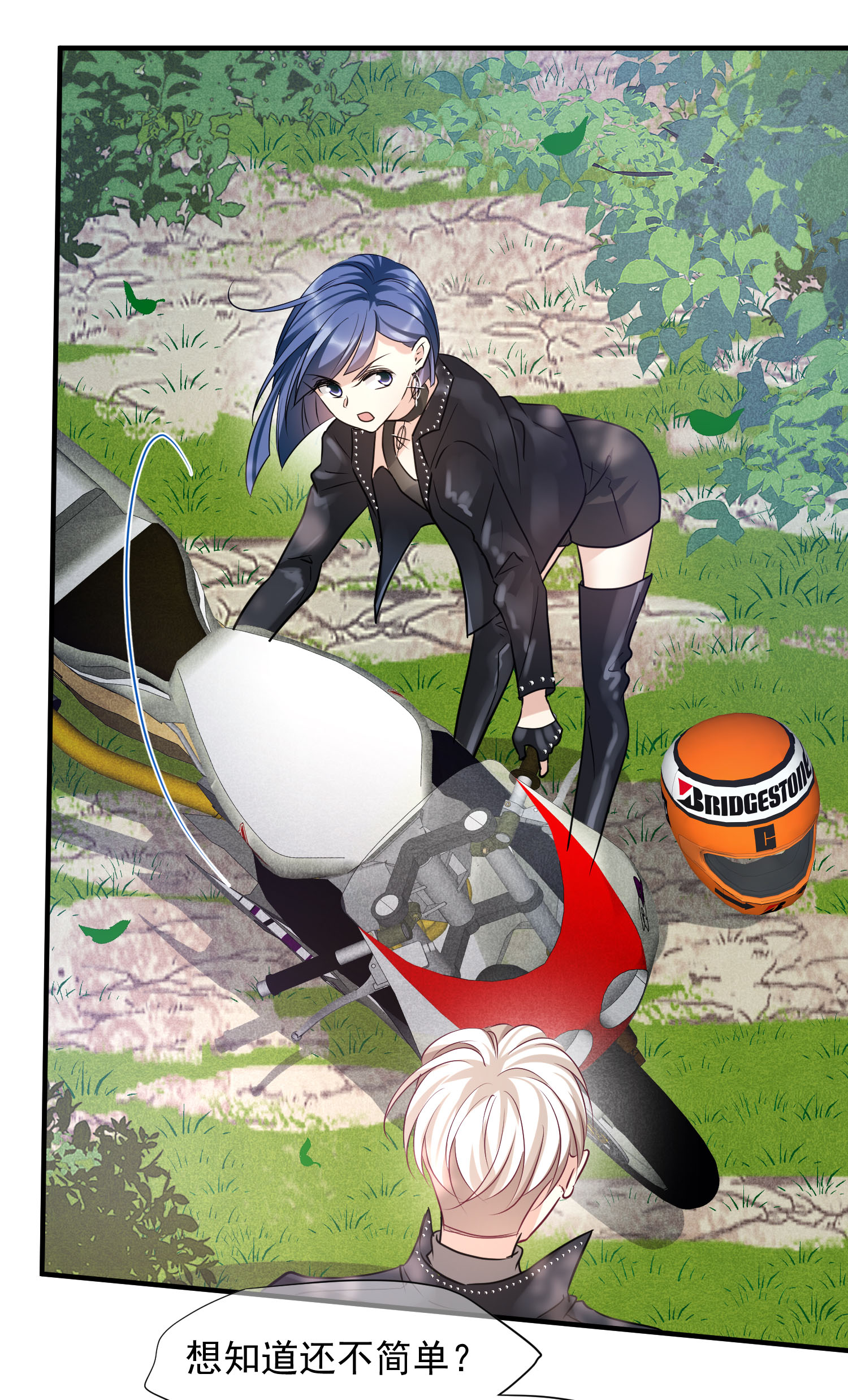 5.jpg