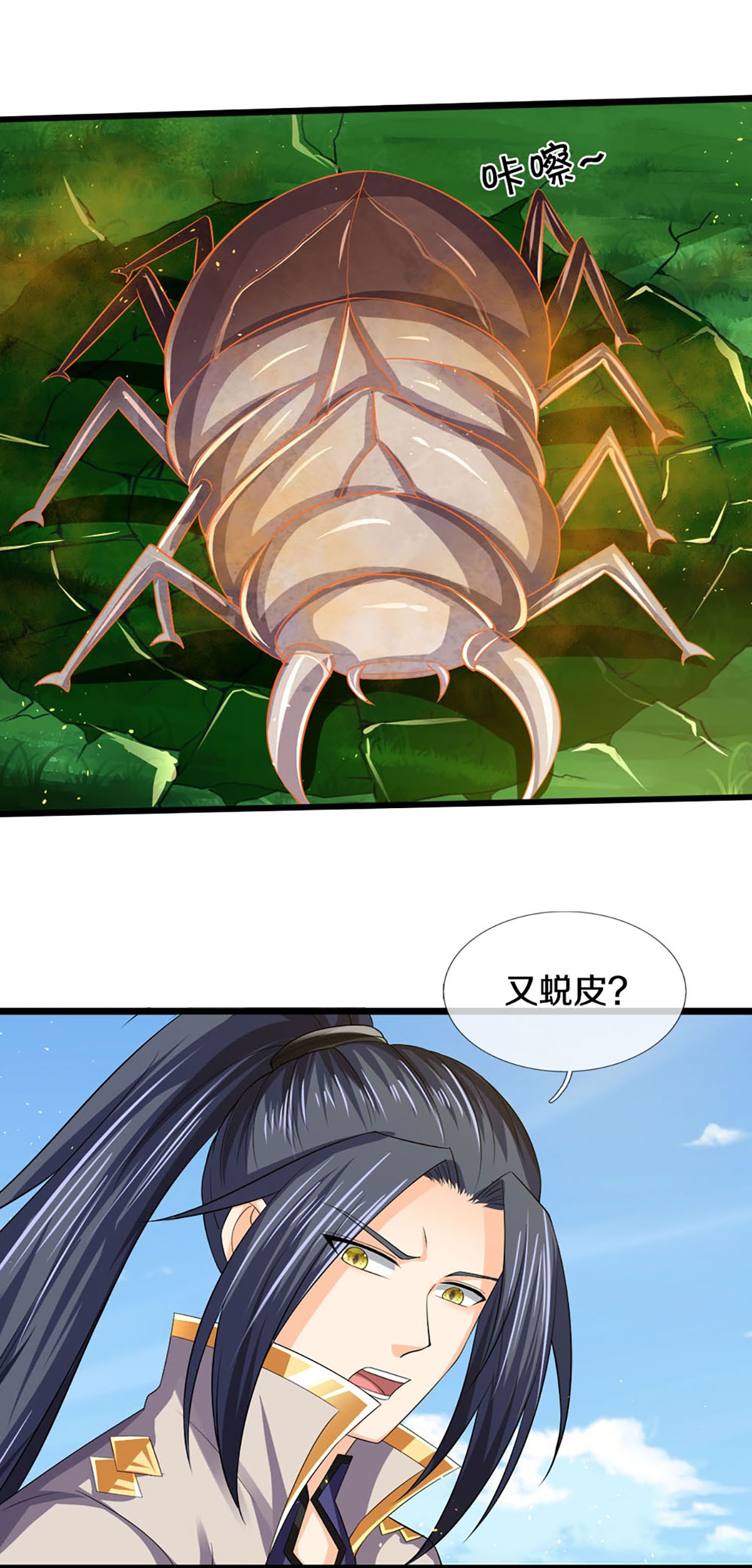 5.jpg