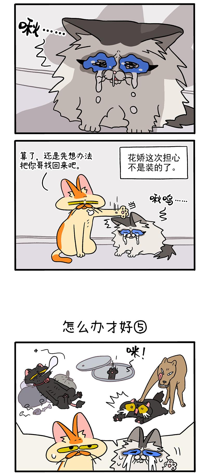 2.jpg
