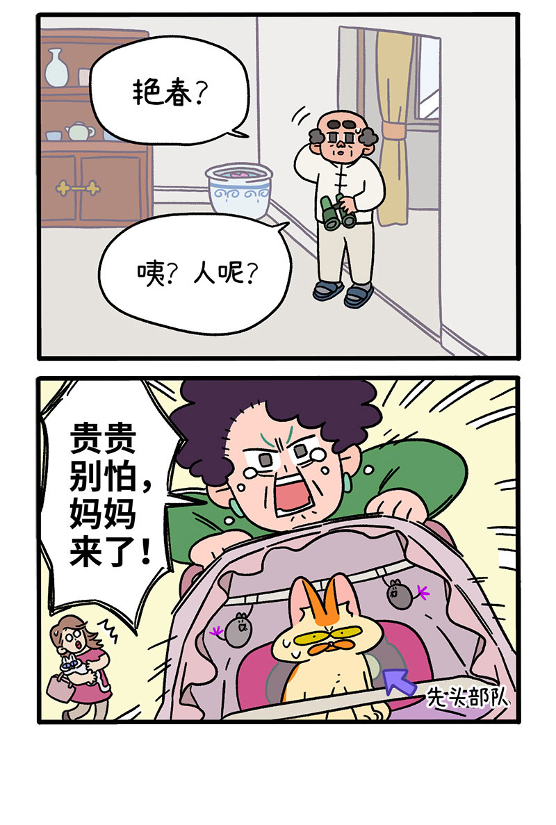 /template/pc/baozi/image/load.gif