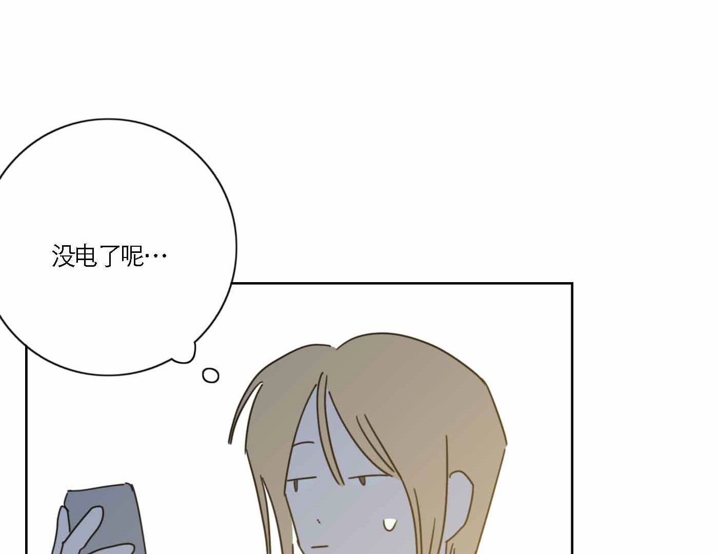 81