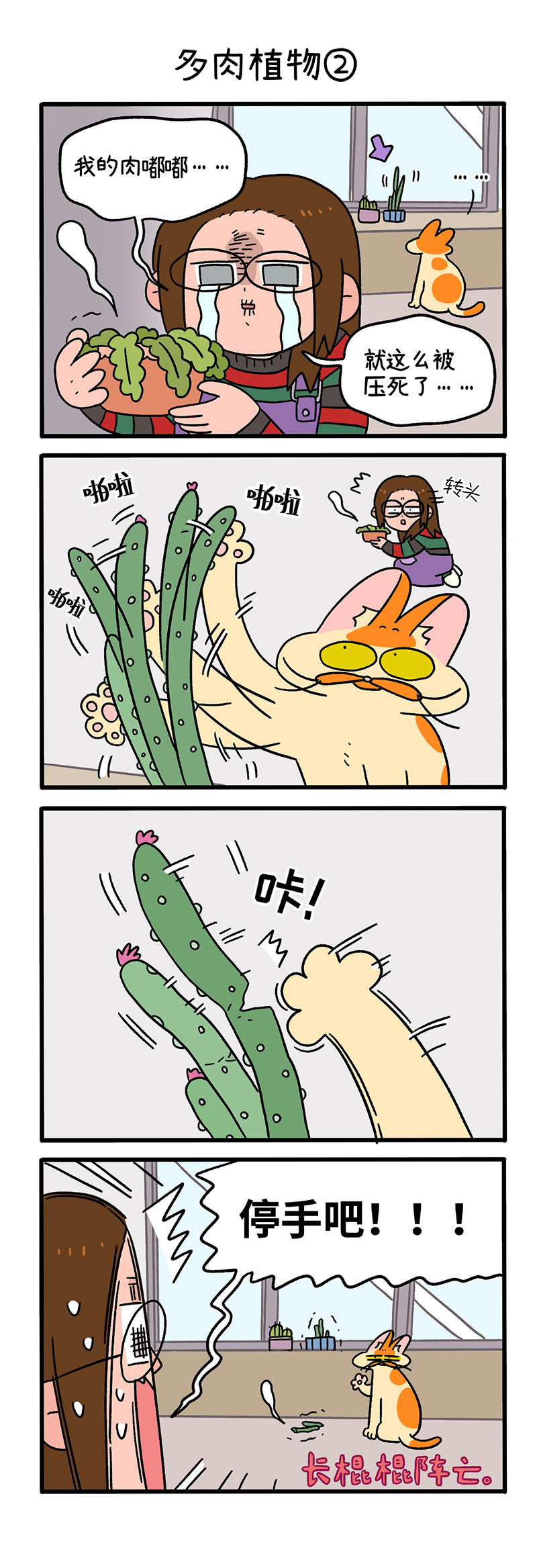 3.jpg
