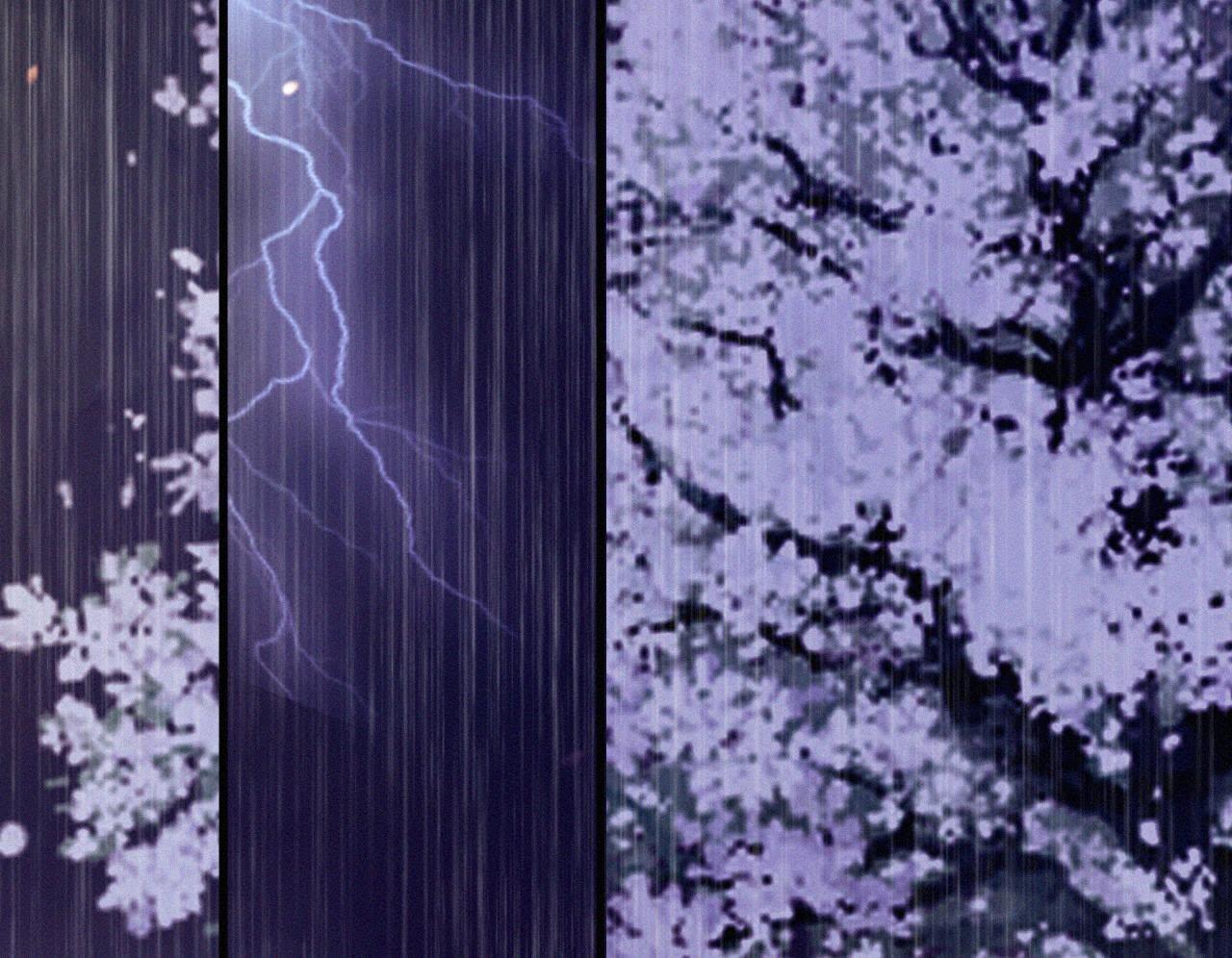 79