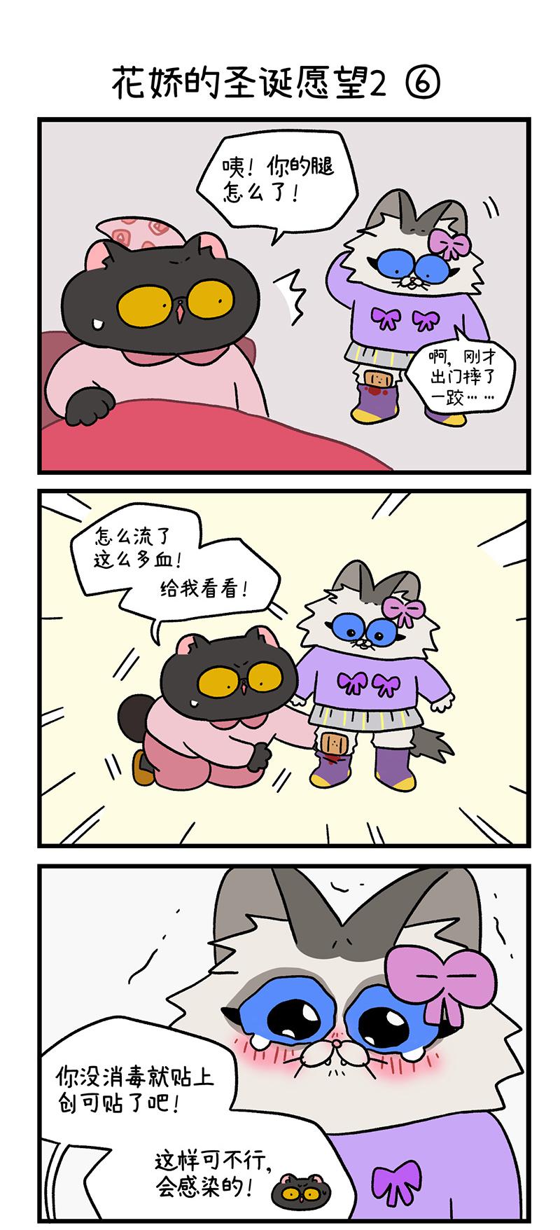 4.jpg
