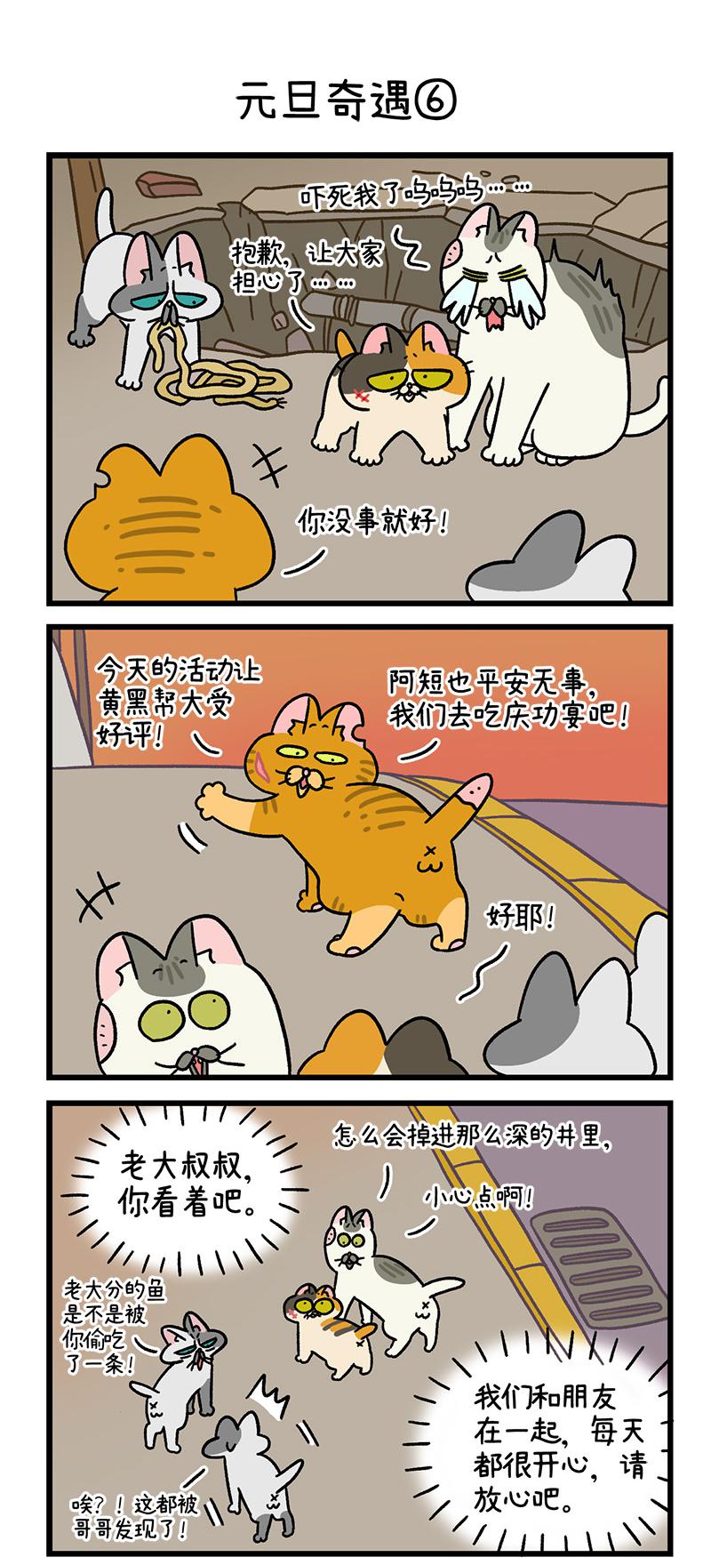 4.jpg