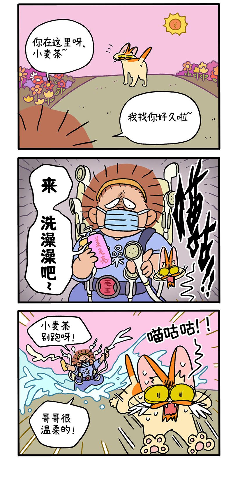 3.jpg
