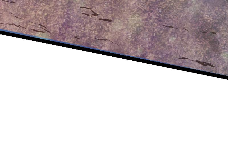 63