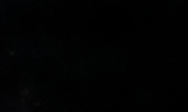 79