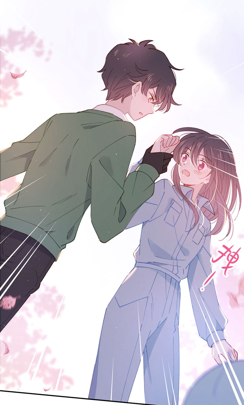 43