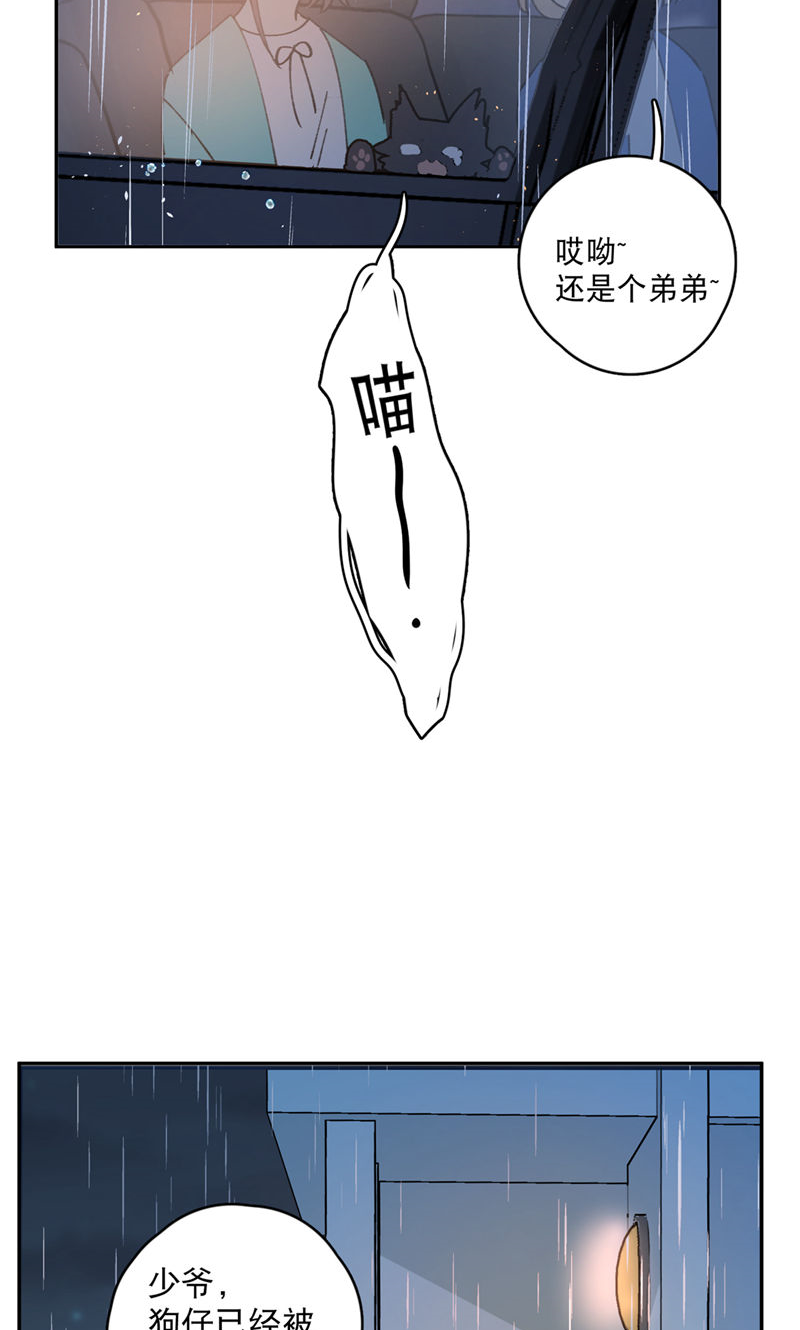 29