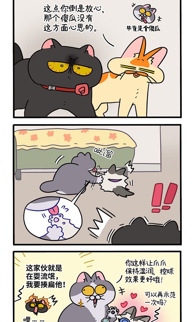 2.jpg