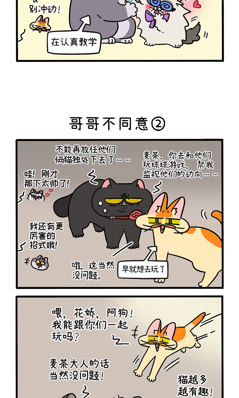 3.jpg