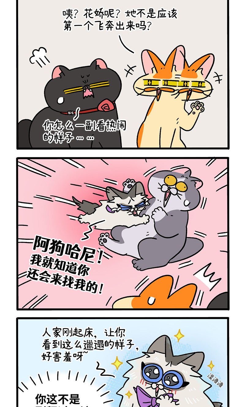 /template/pc/baozi/image/load.gif