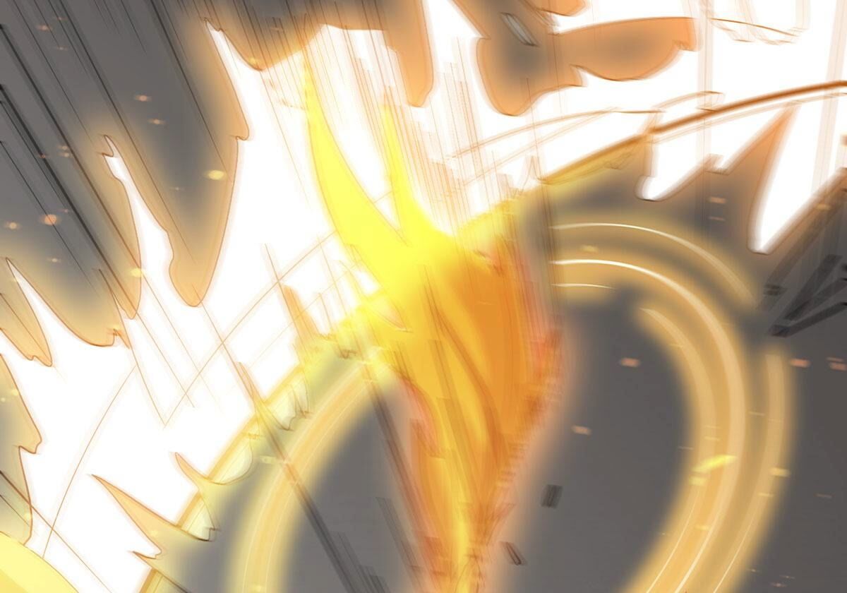 66