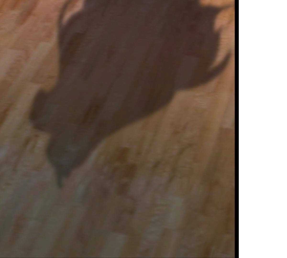 43