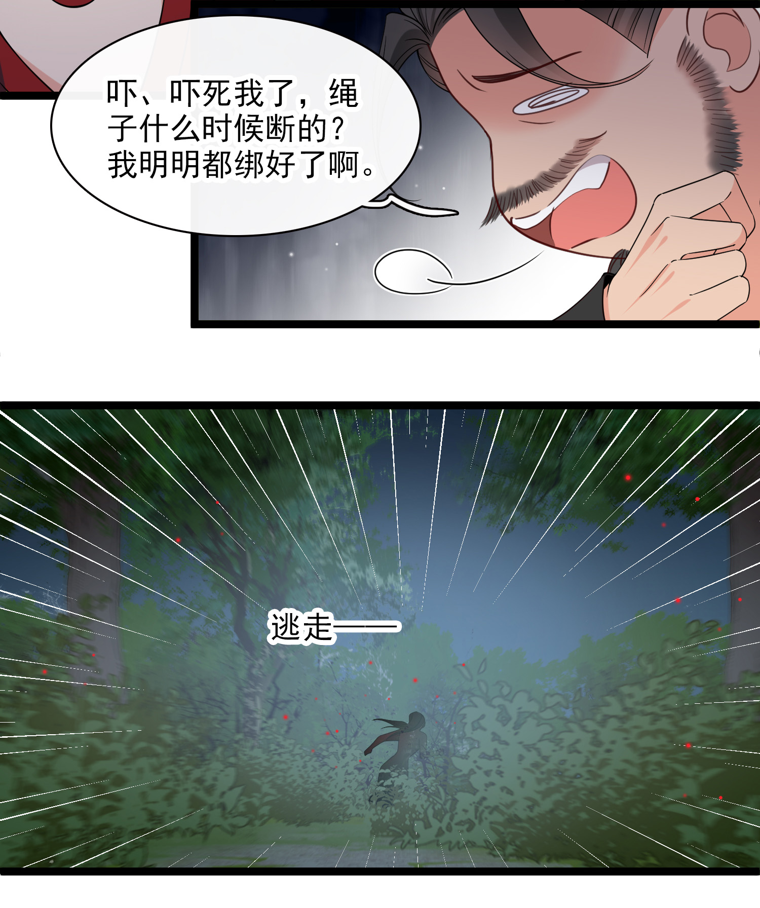 11.jpg