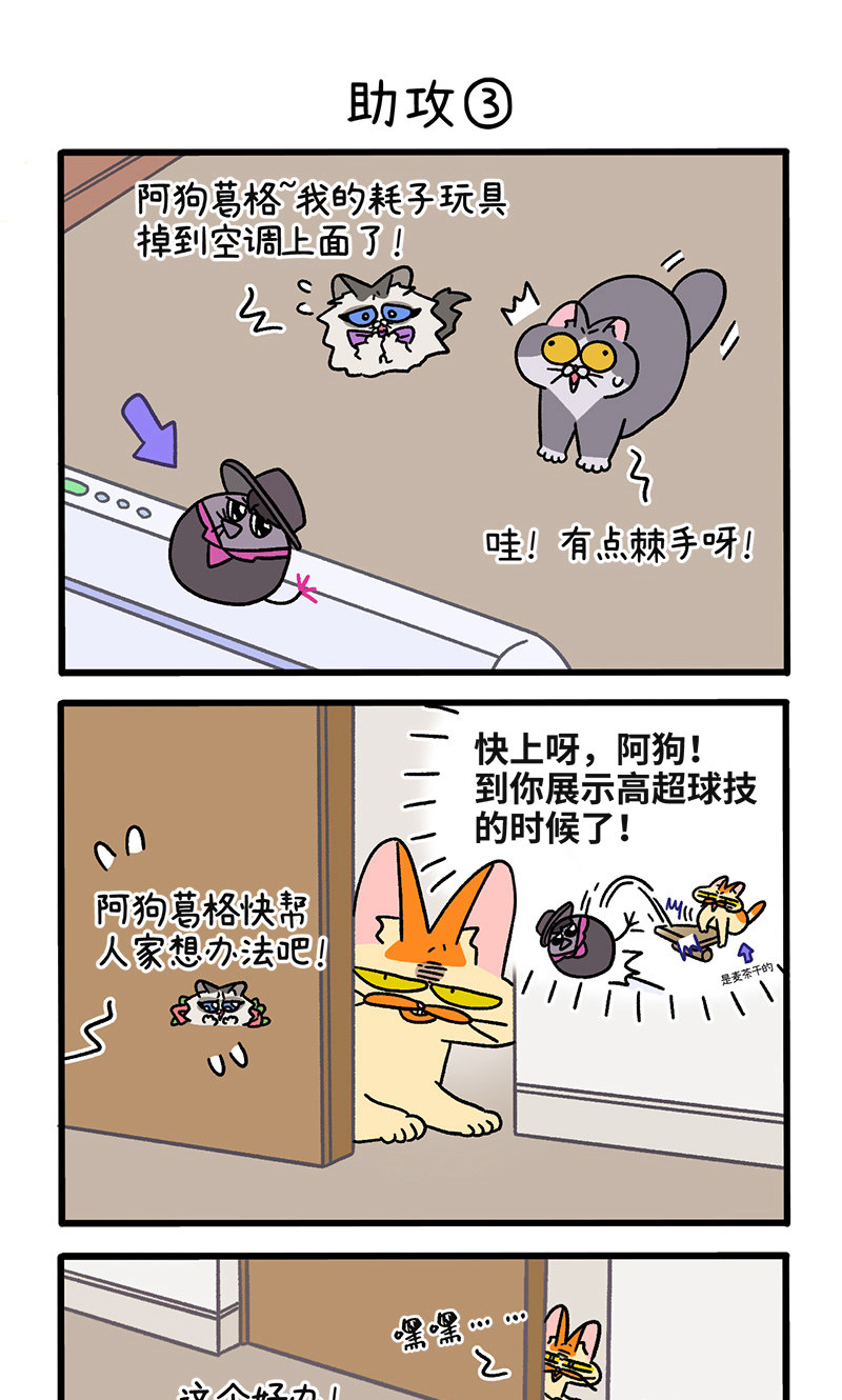 5.jpg