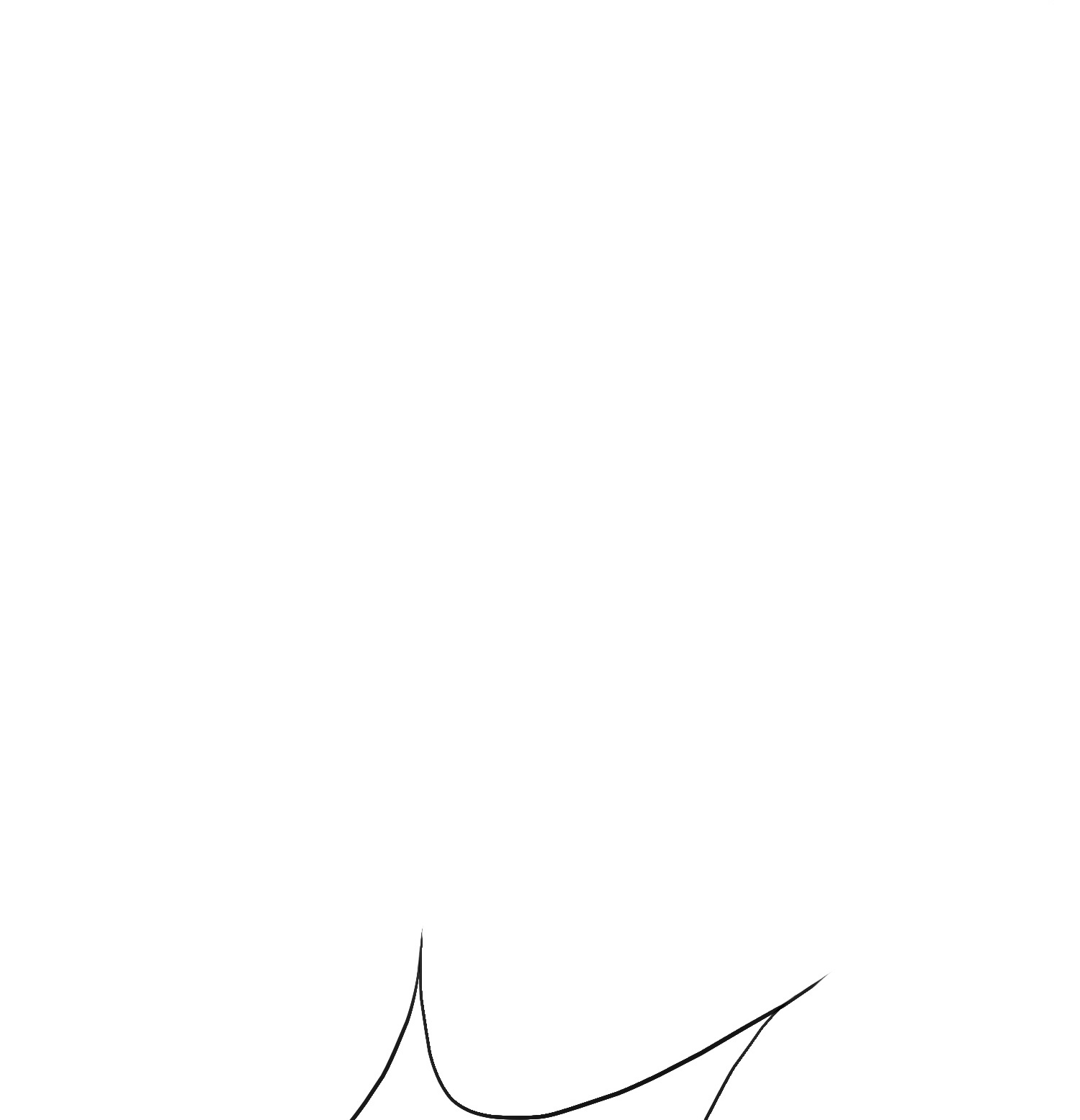 55