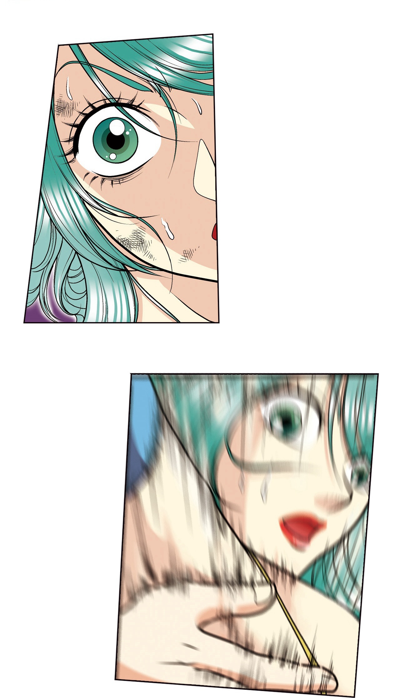 41.jpg