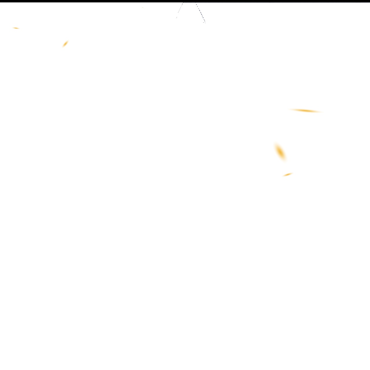 50.jpg