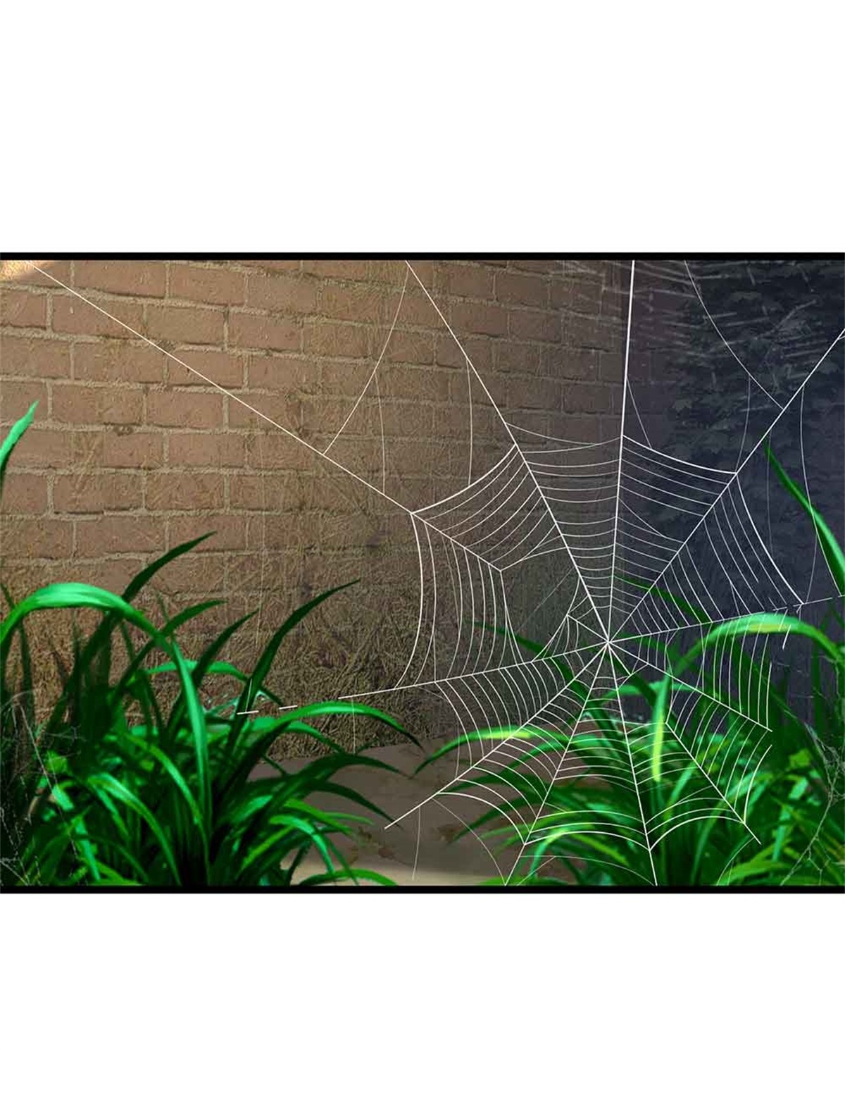 我是大仙尊 - 第368话 苍龙战队，永不放弃！ - 第19页