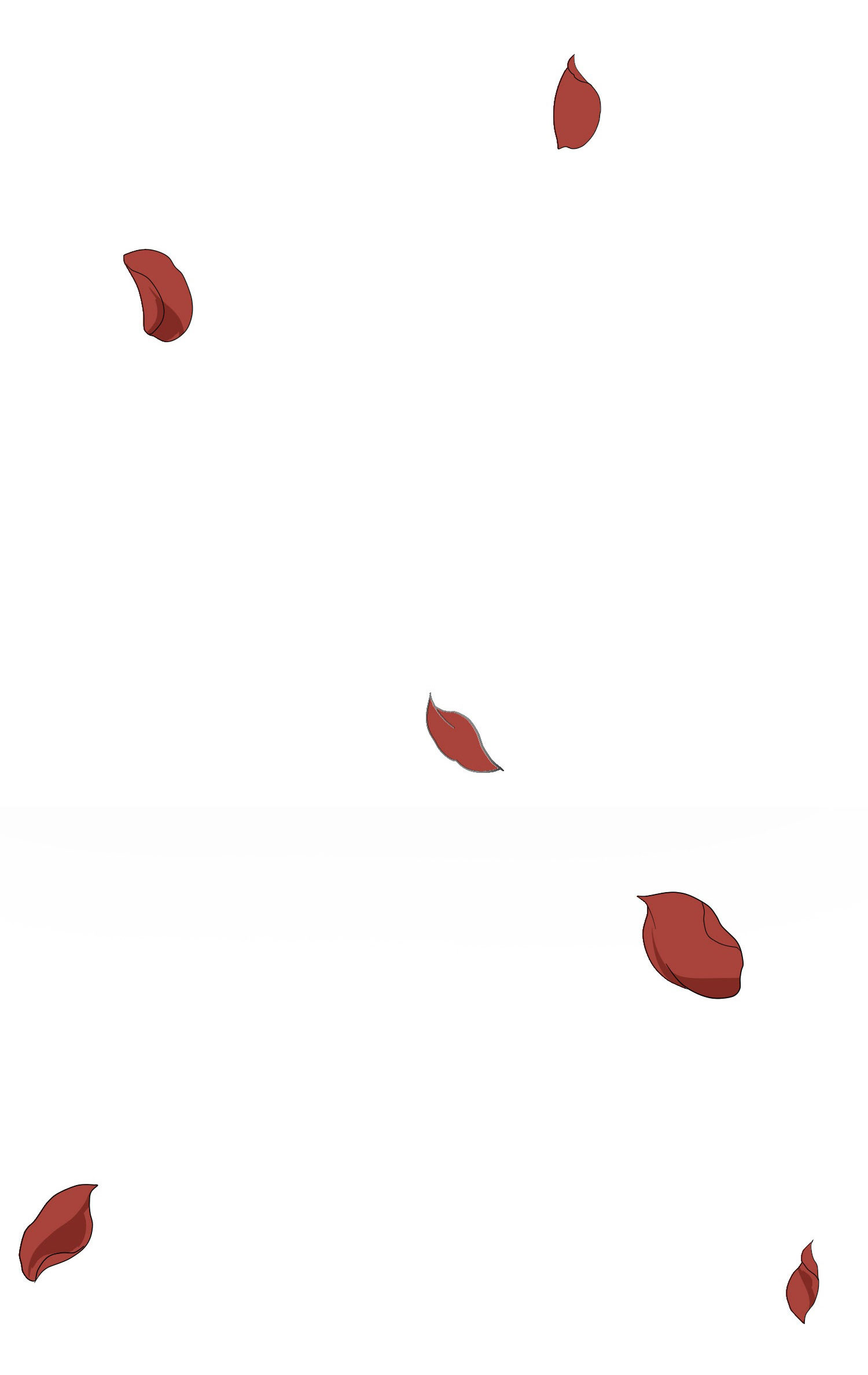 33.jpg